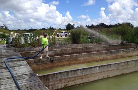 Abandoned Blue Heron Aquaculture Farm